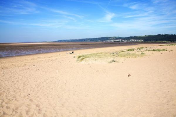 The horse torso remained washed up and unmoved for four days in full view of beachgoers